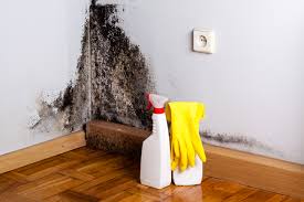 Best Mold Documentation for Insurance Claims  in Downingtown, PA